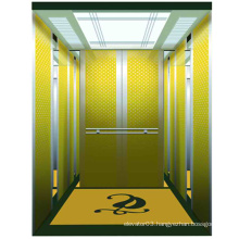 Luxury Passenger Elevator From Professional Manufacturer